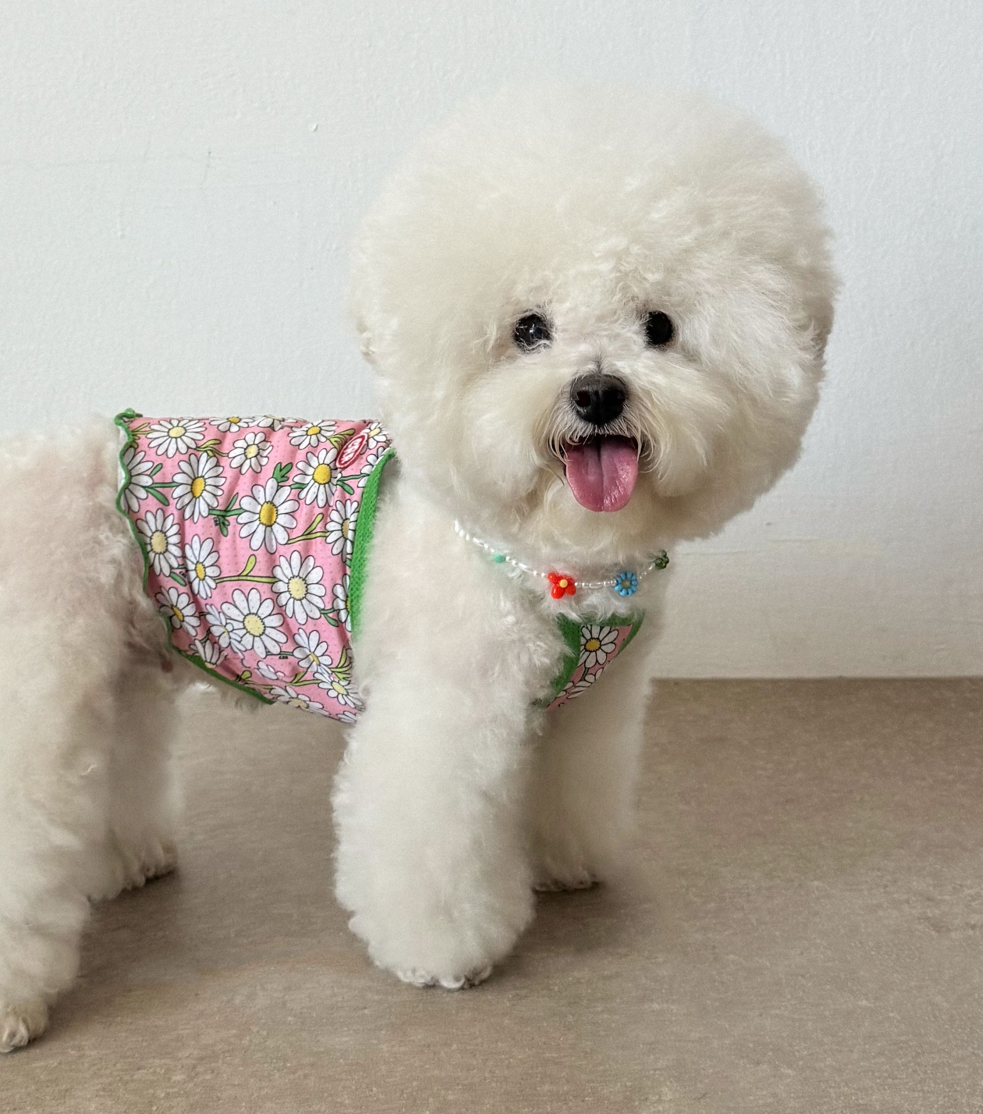 1e347f6894c4b5683de69b2ffb0928a6