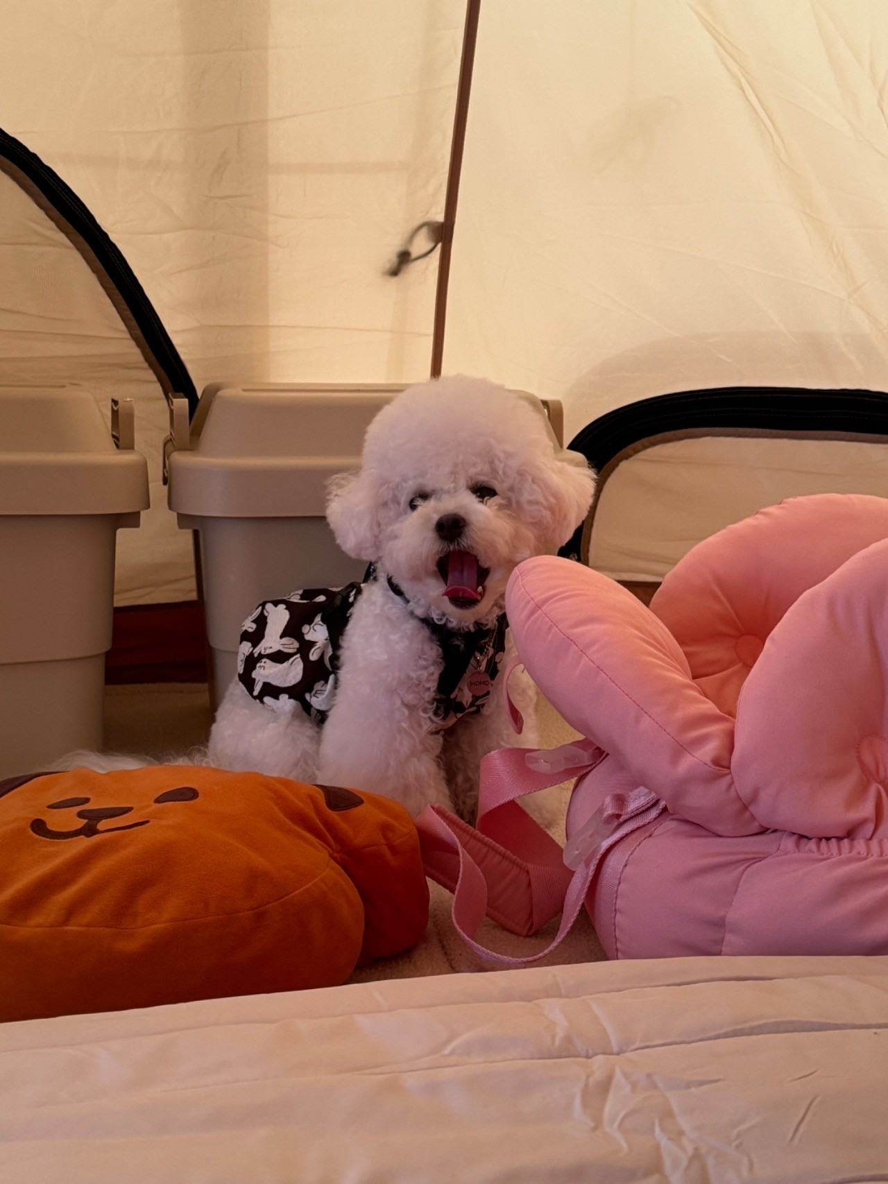 2d30170ebfce36a3c8cf064f4ef1434e