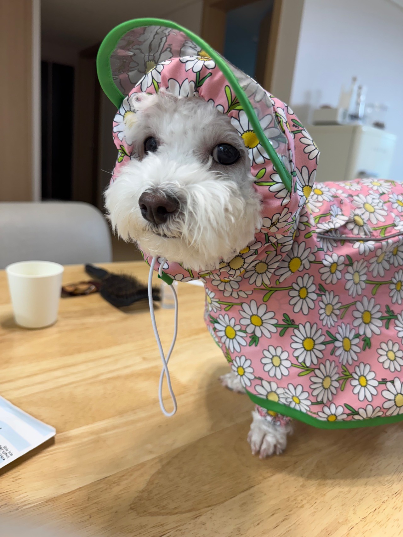 35042f7aaf24bd144f616e8254fdec64