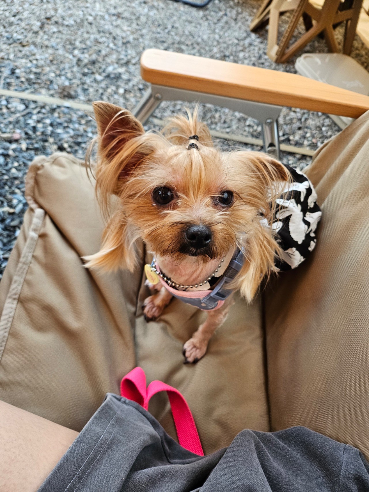 55eba62e9c5c146a5cb8b7a28f6d766d