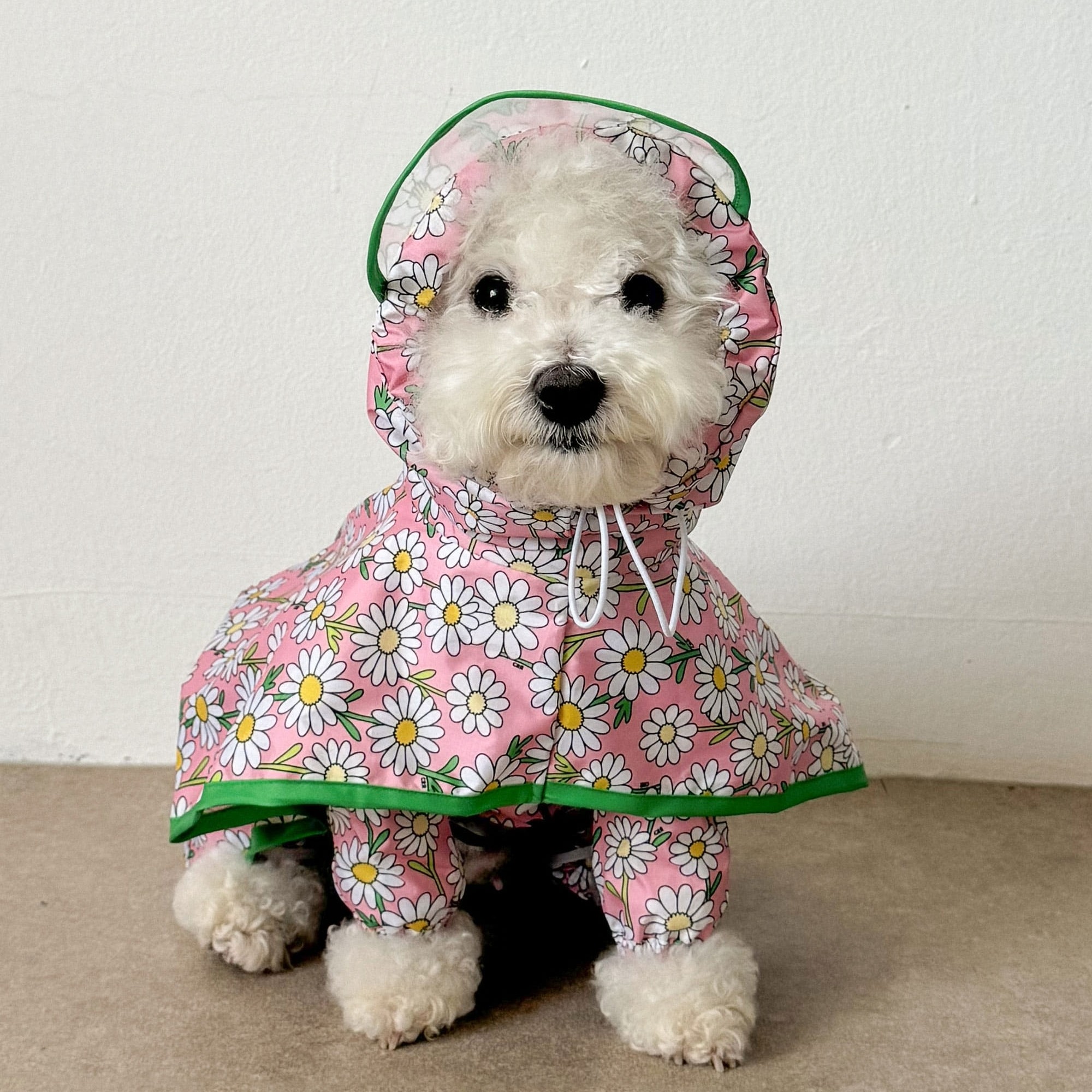 655ee8703e5af16a1f4ac596a333de03