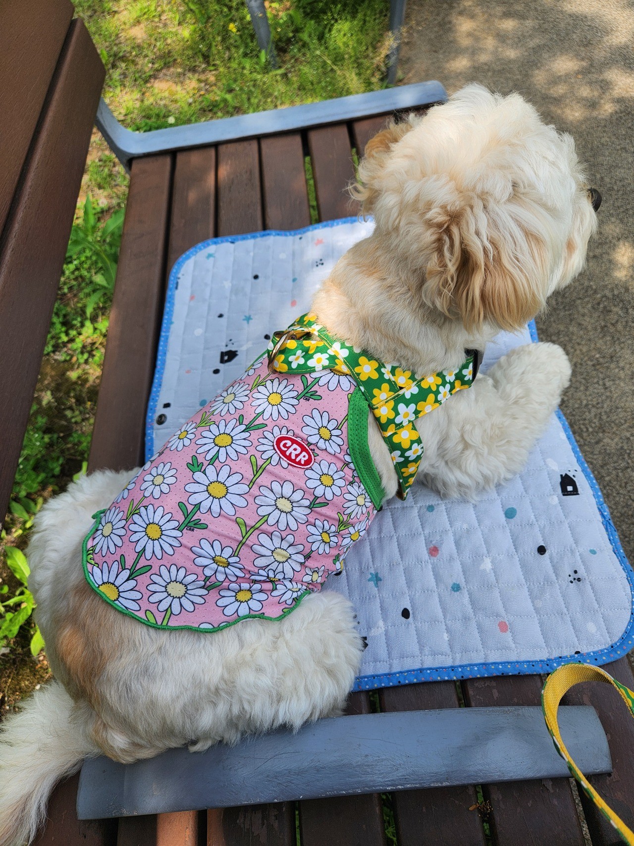 6a0f64c1ddbf50bf712971c52aef3ba1