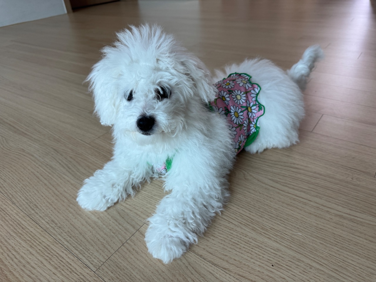 784930308977a843719ac94515deadc1