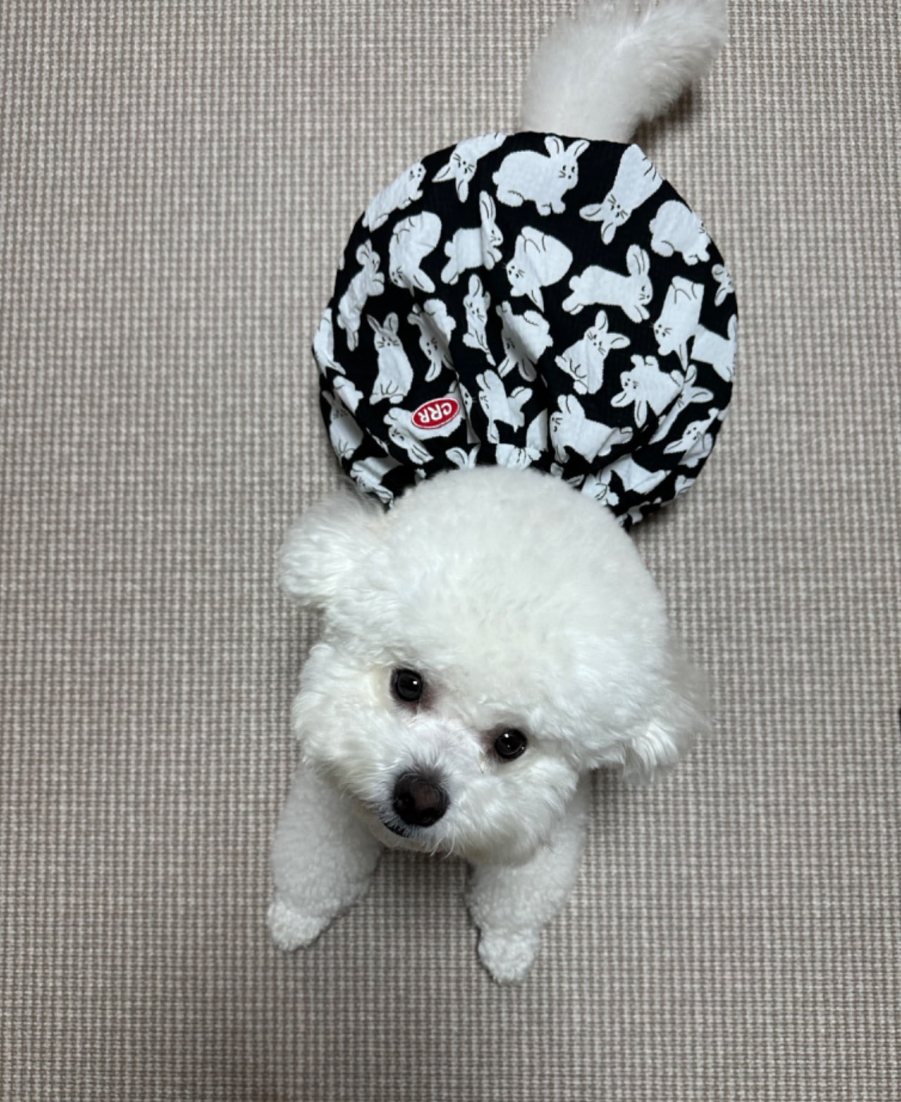 82a1a058ed1df2de66eb91a0e9f783f2