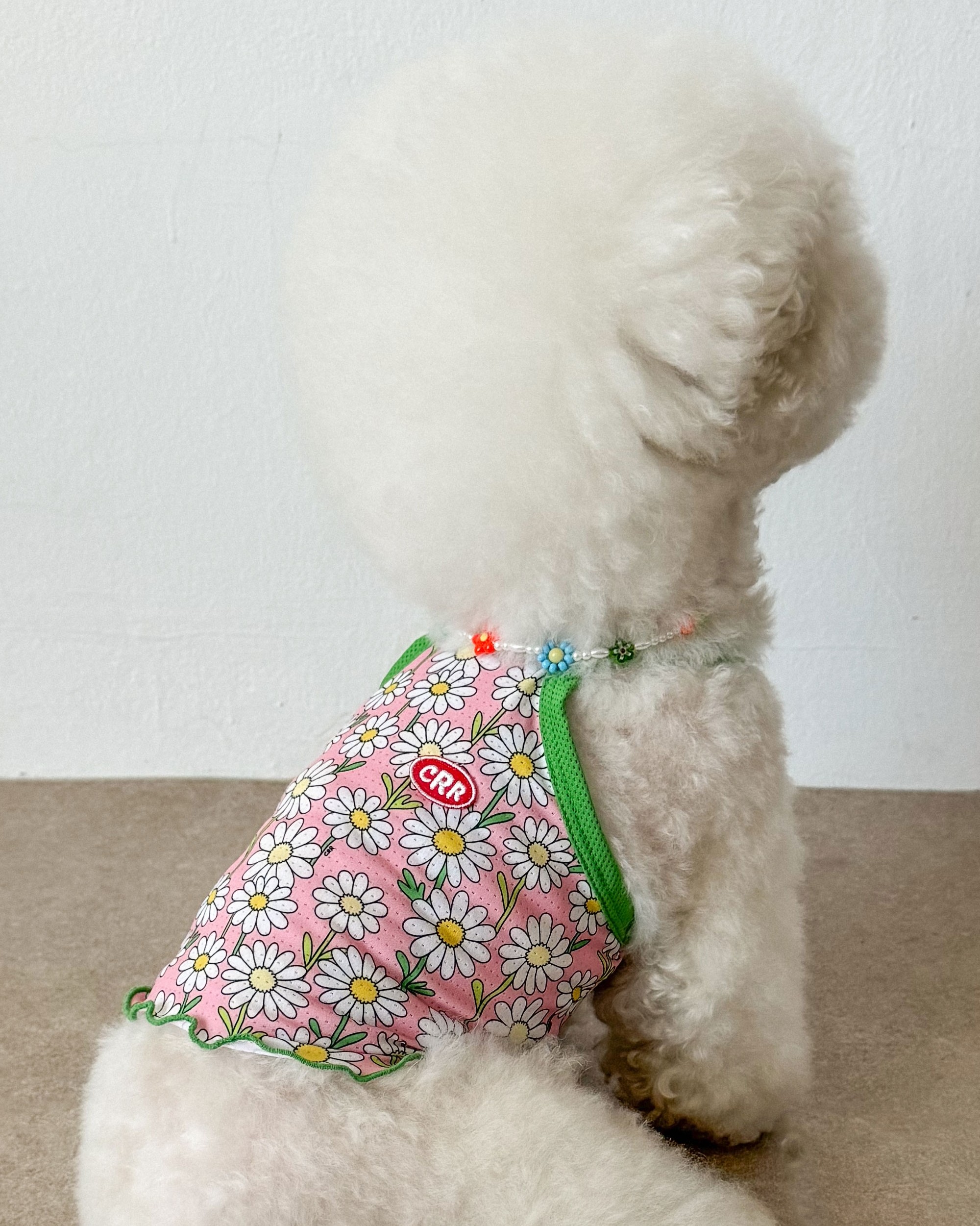 90c8d48fcb2007413fb380504cf44d2f