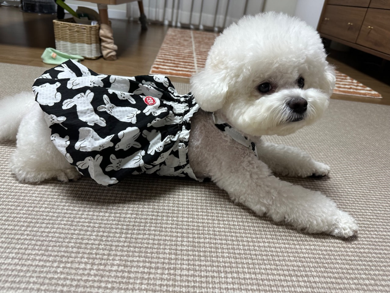 927f31584843cd1c950b9aebb3060356