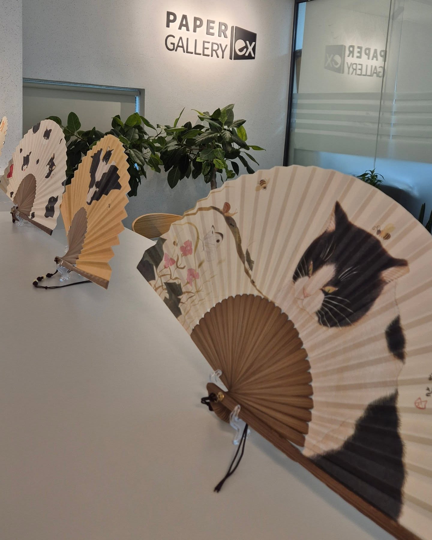 93a3a5d9dbf381c37b56aad594d77381