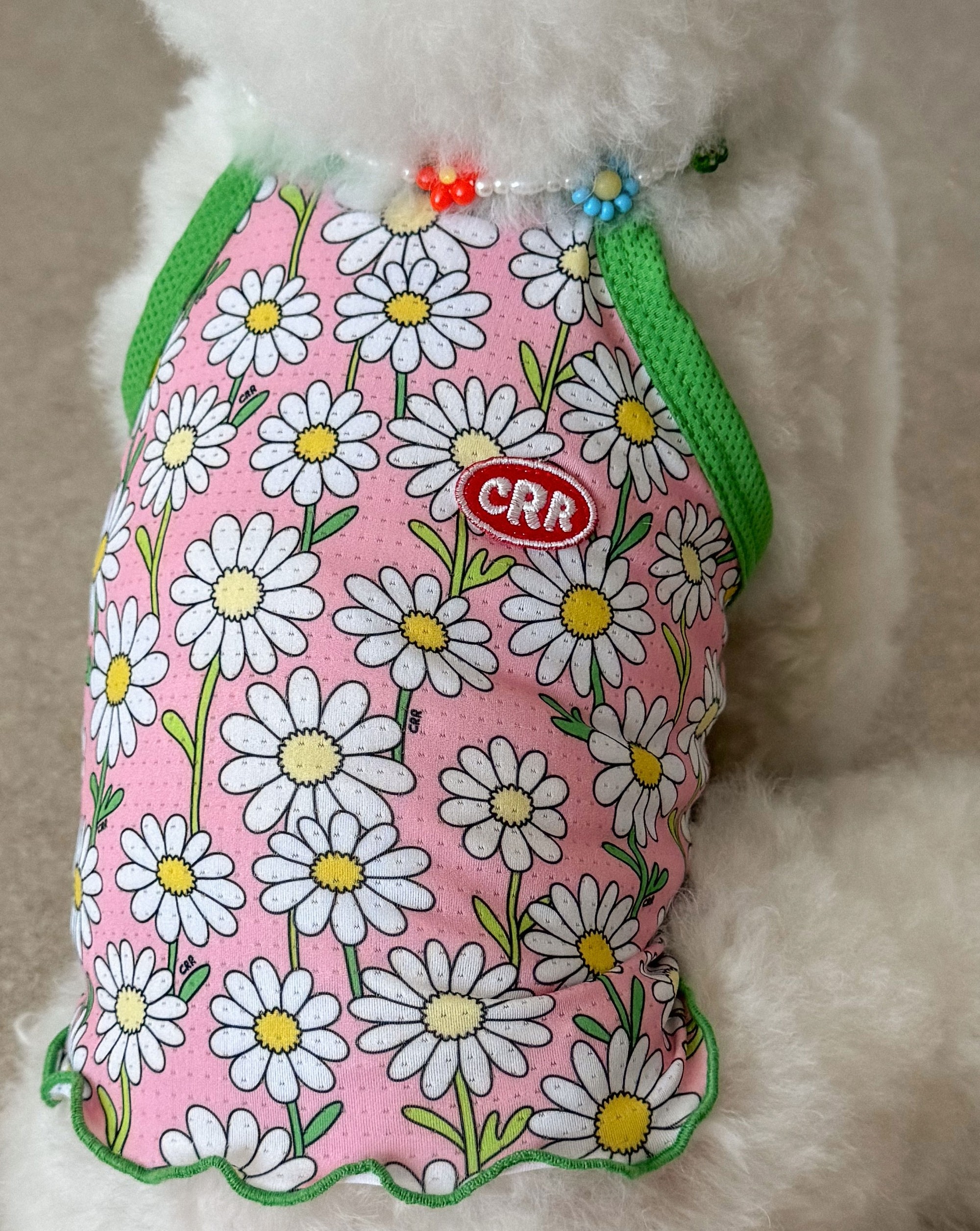 99ea33d13a958d87570a24088586b176