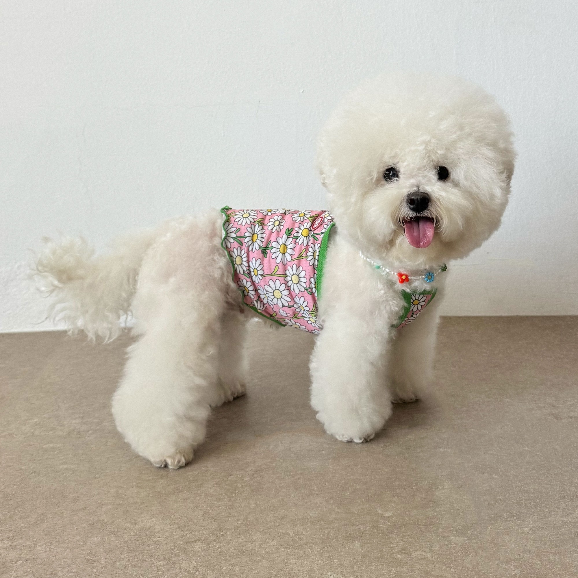 be3c31989d593cd5067fed0900e7e106