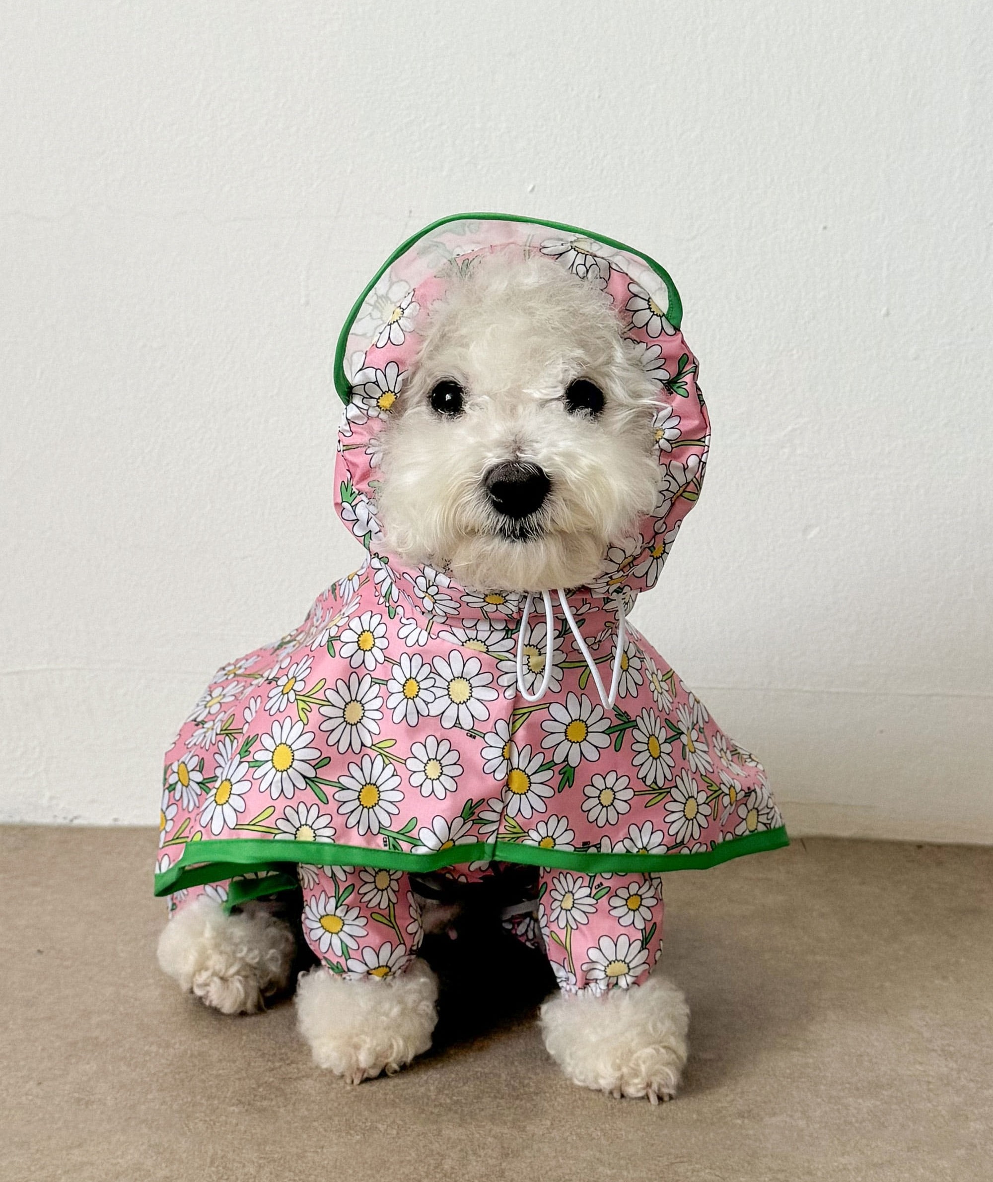 cf60a90c335d9e479714dd3718759576