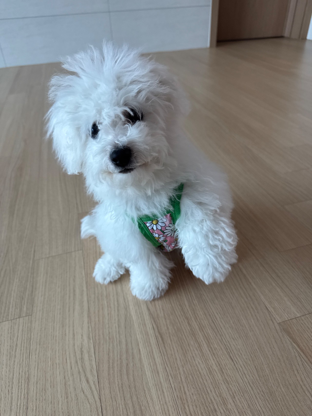 d0b31d6ed02f6b9783663e3e23d34900