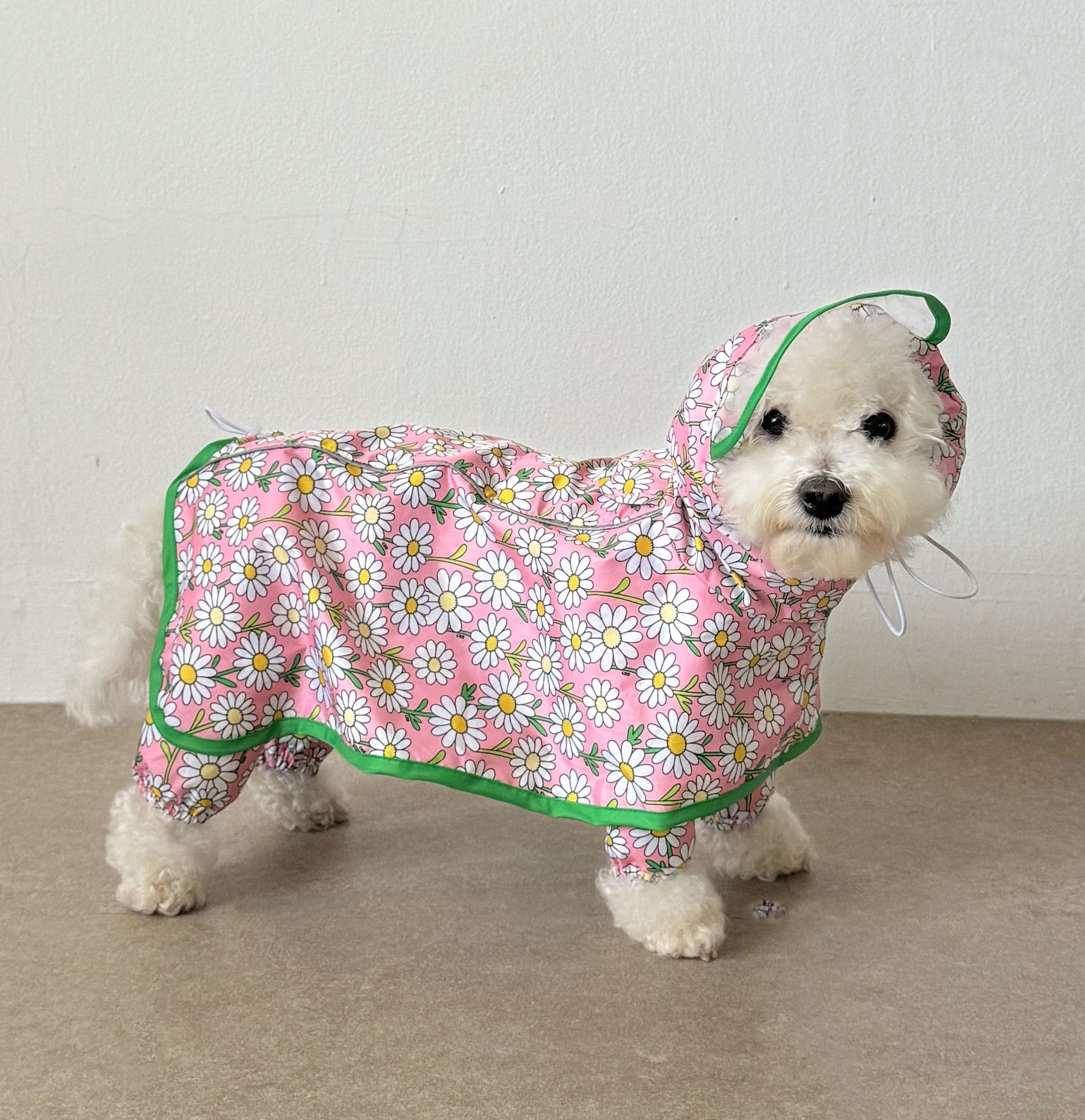 e073cc809a4203fc3a3f9192b7fa50fa