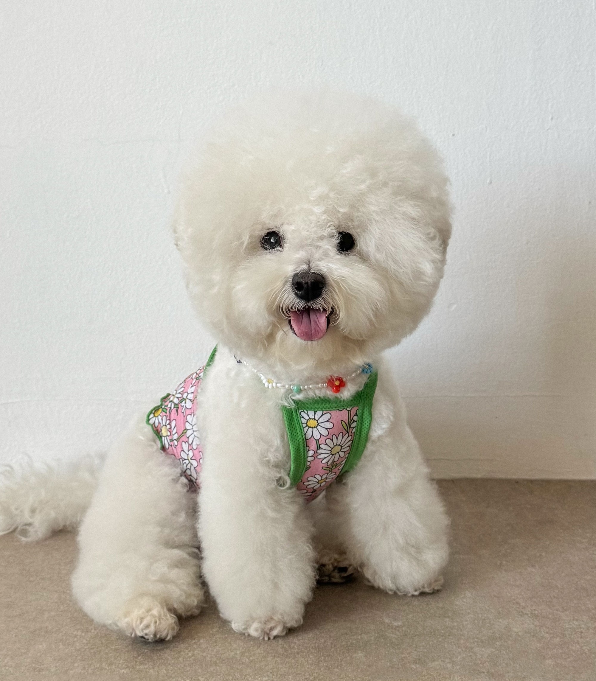 ef16125308fd89b4214099b28d45c2ee