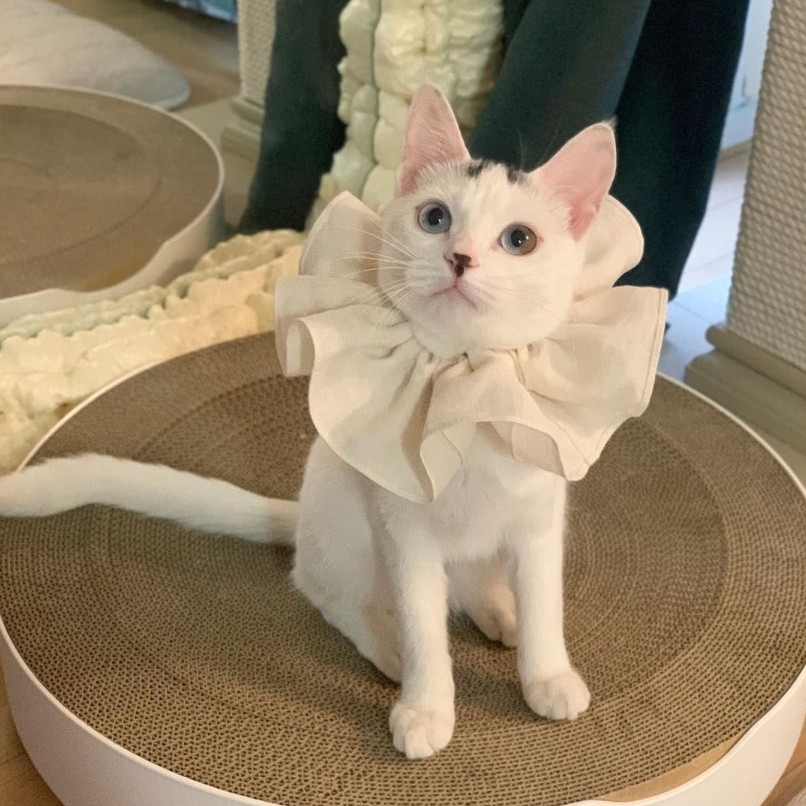 073b00083cd94947e56ac5c8d9e9edff