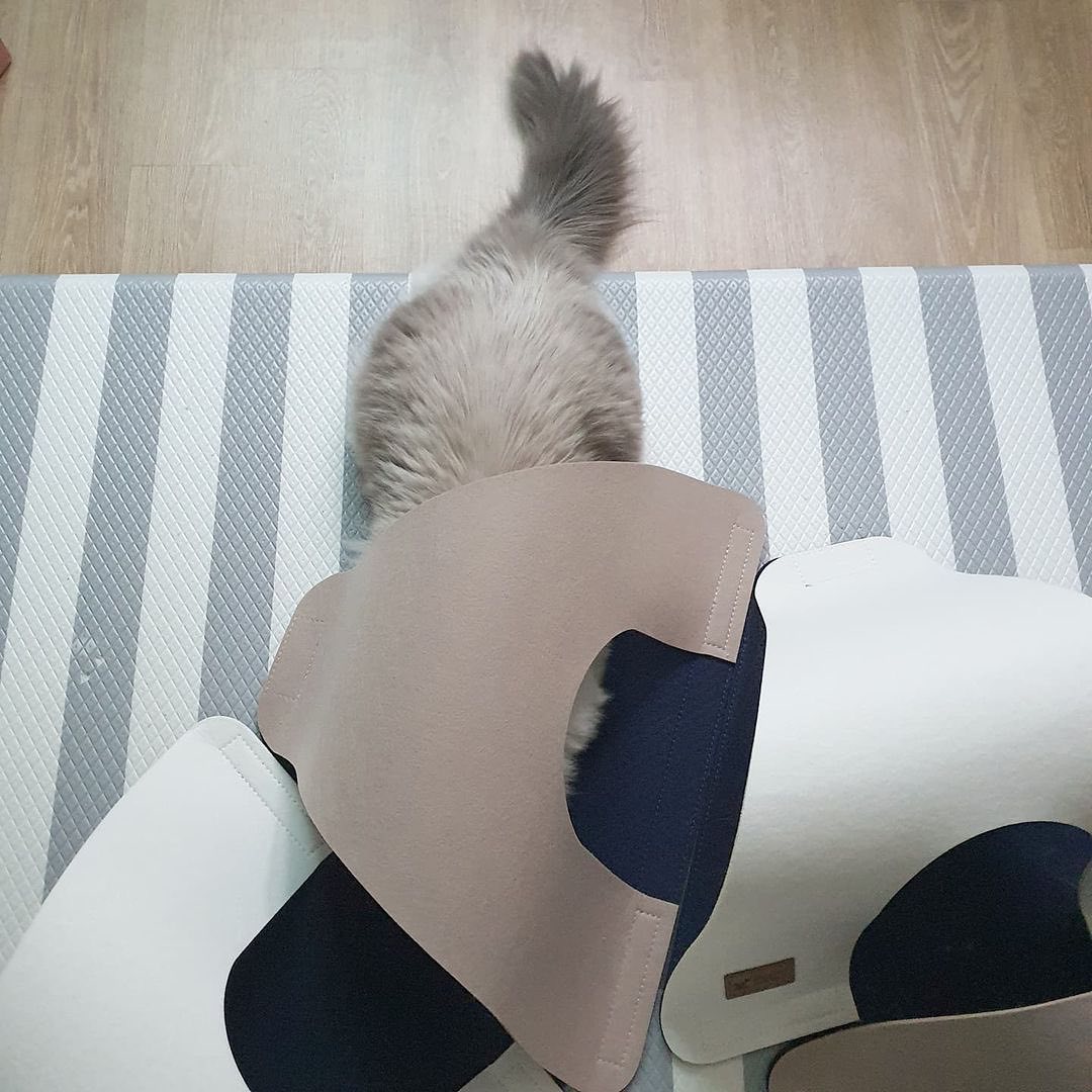 0b330a11f16e9feb43c1b324127125dd