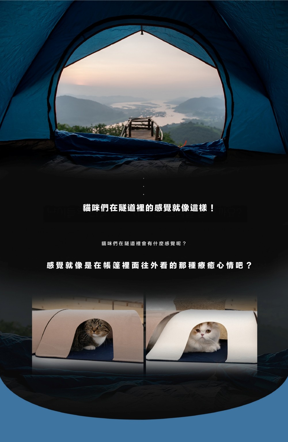 12569102dd71f61342350cfb365bb08a