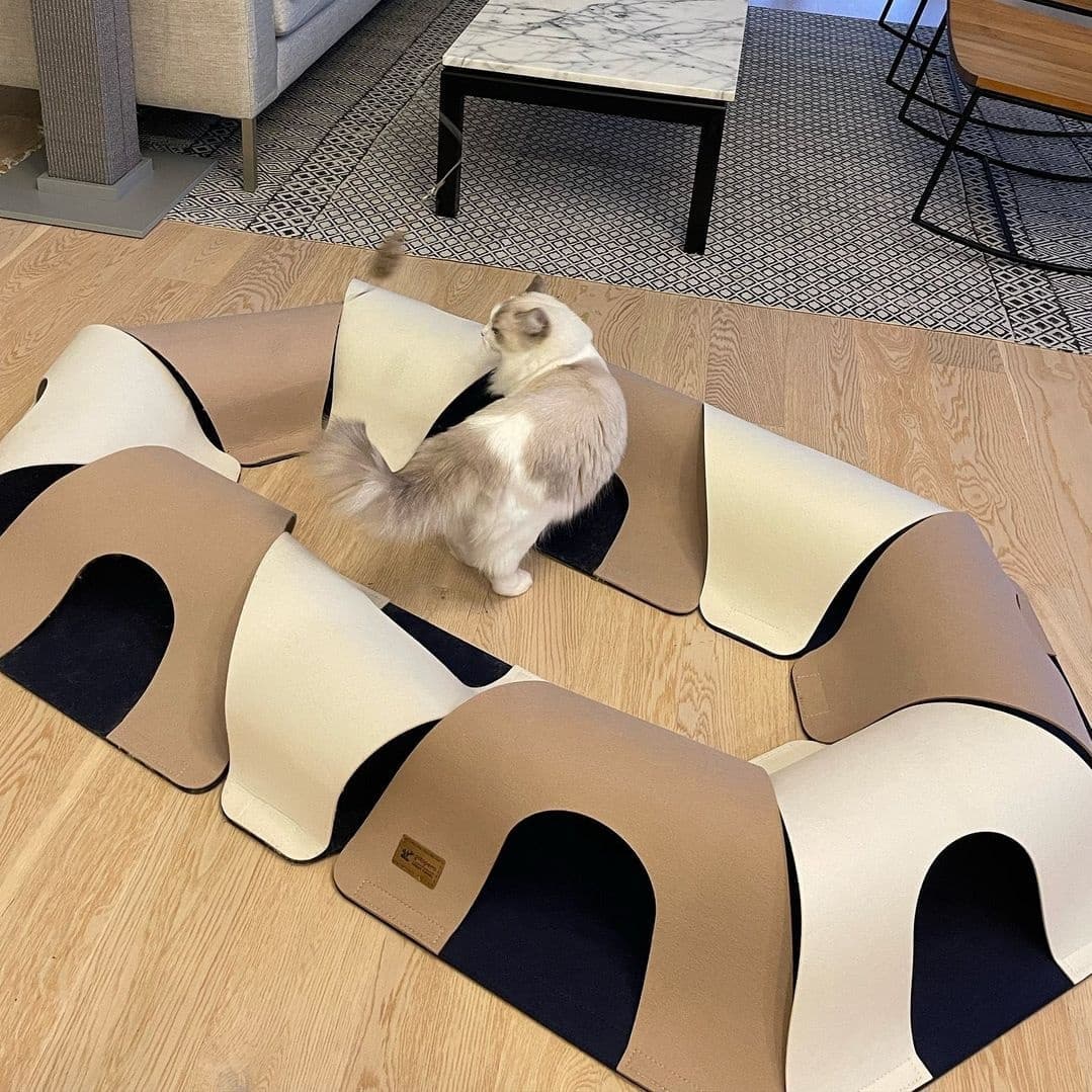 1c67a92d09c261c8dc458bcd57755c2e