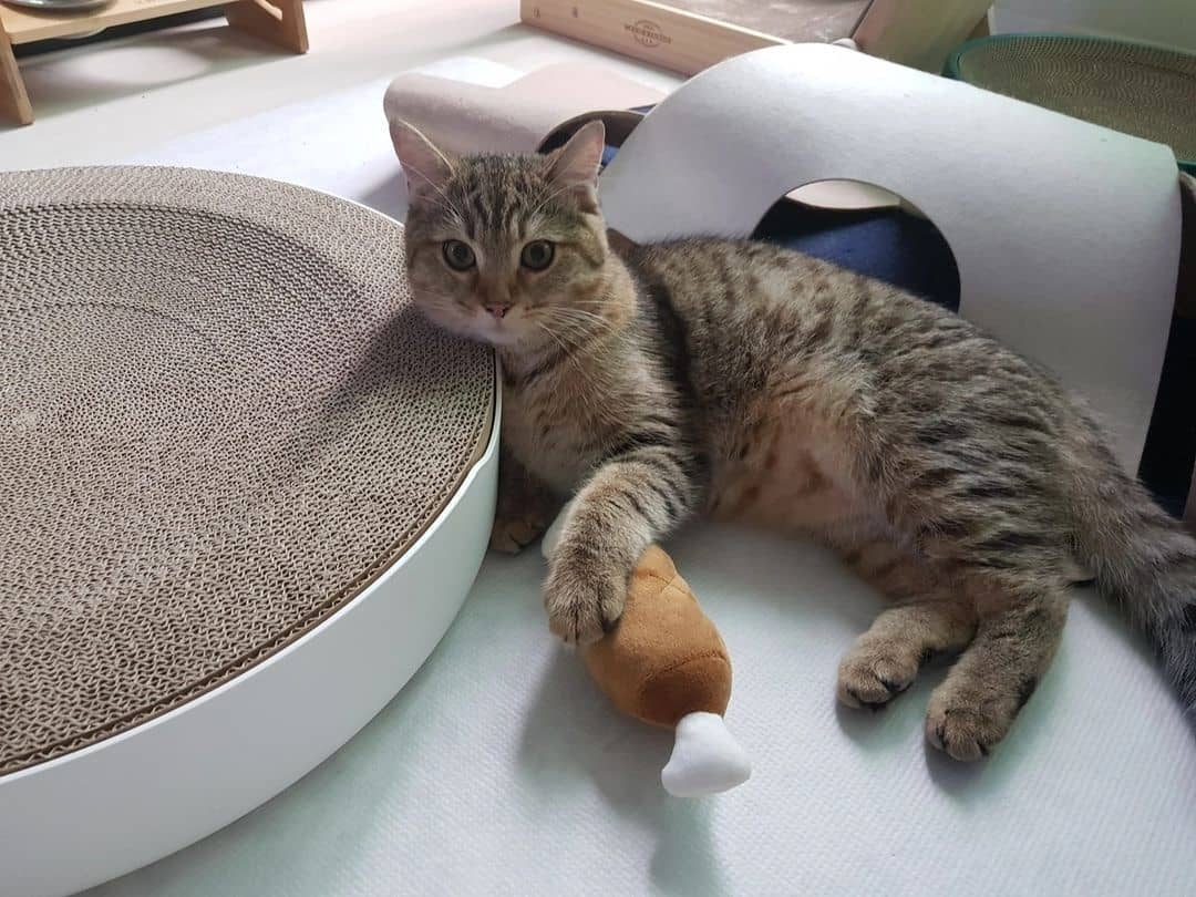 1c91fef83f308b7680ca8809233d7cb3