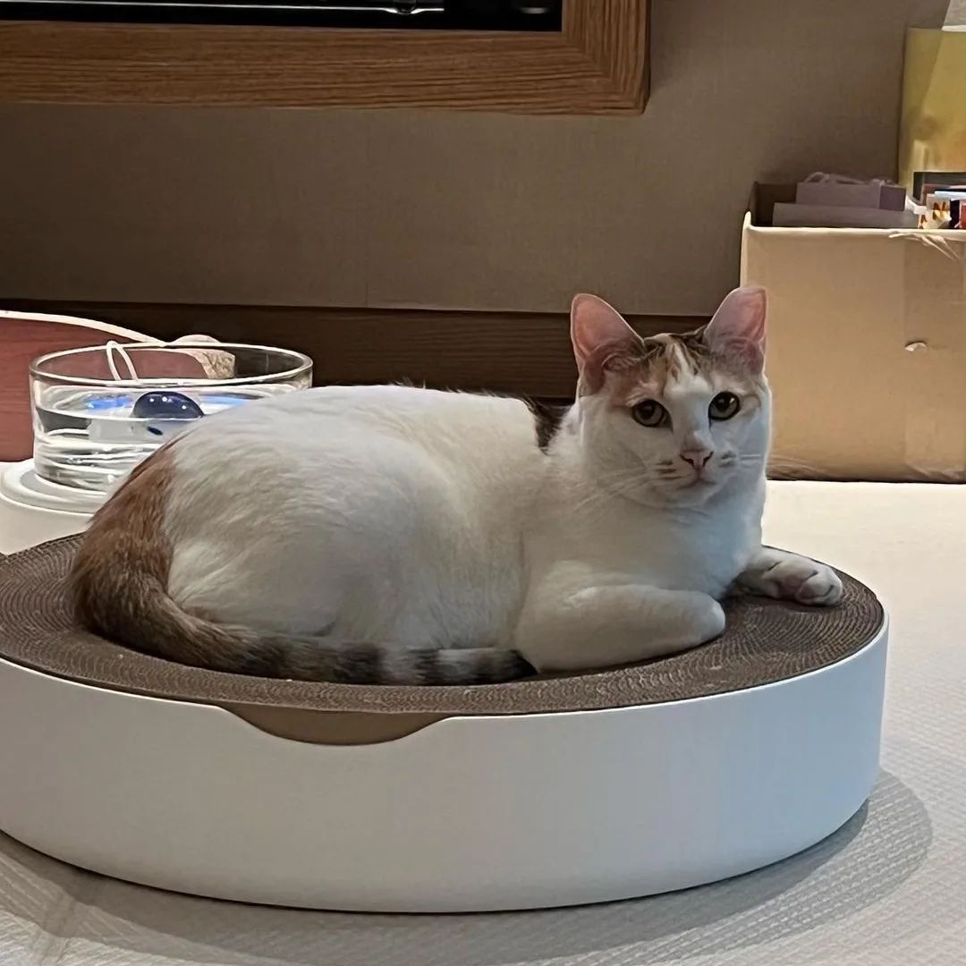 280dc657020ec5ef3bc331487a1346aa