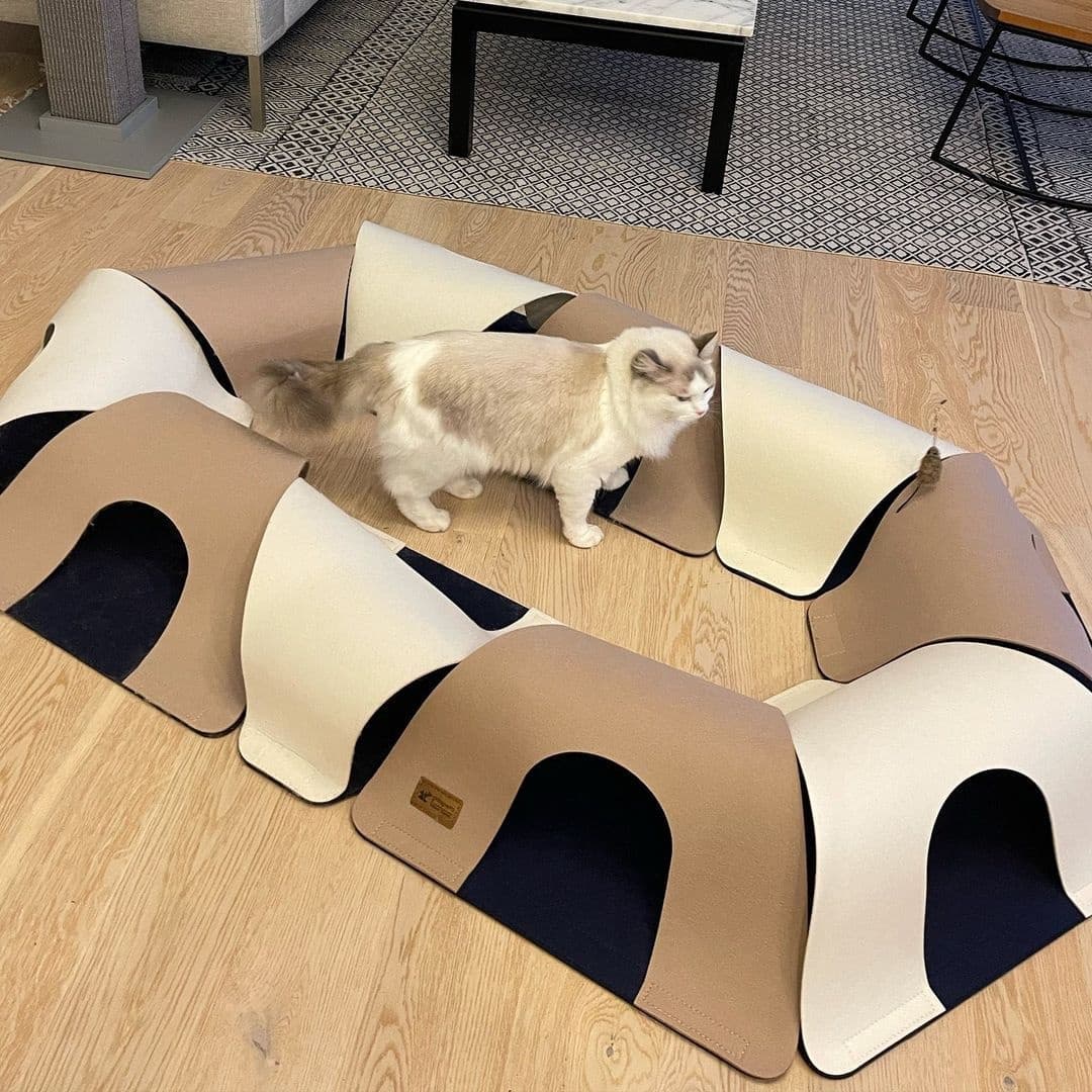 29fb77d5d2ecfe56e88ac8883c4b2677