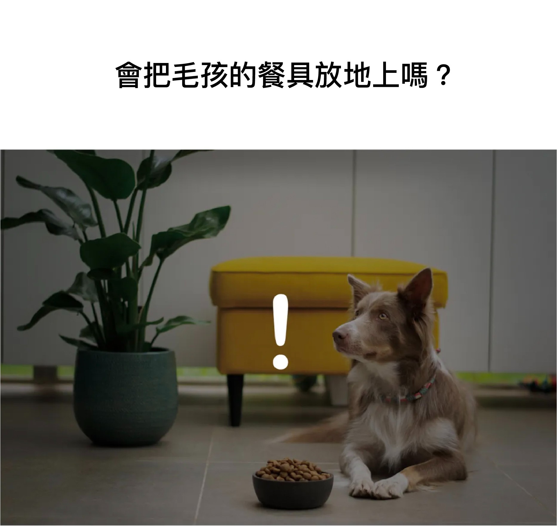 2f1a3876fb8798d632a573f4478dd547