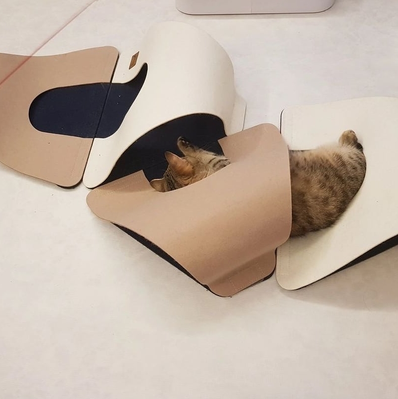 331c768b8b558a6dea4135a8455fb901