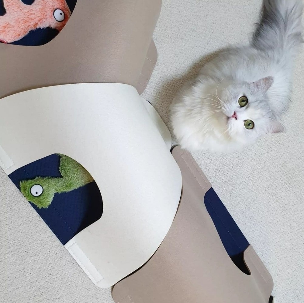 3644db709e2547535358c12041abf2ea