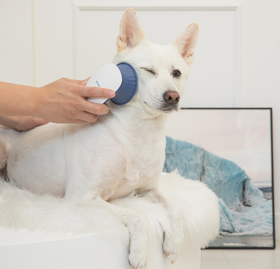 3a6d0b482f6af75e4593a5bafa24827e