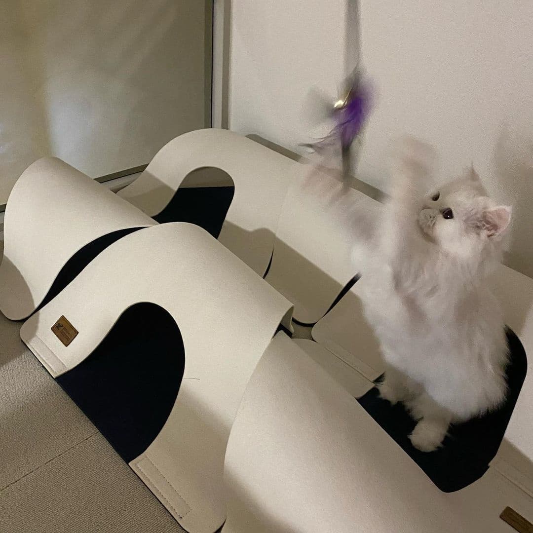 3bd1b5bc7bdebd661d76eaf6a2b442b6