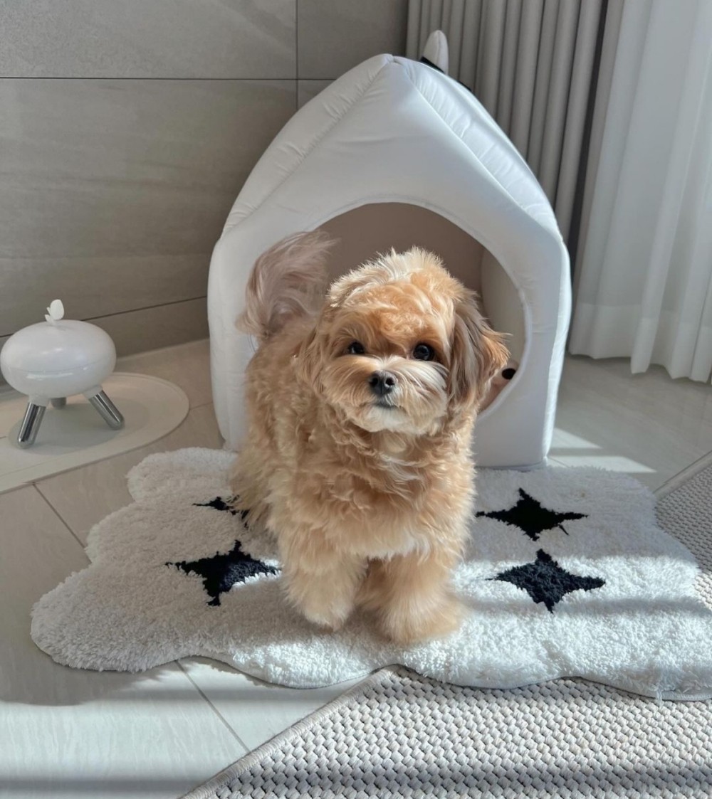 3c3ea0211f309d94272aed96dbbb84d0