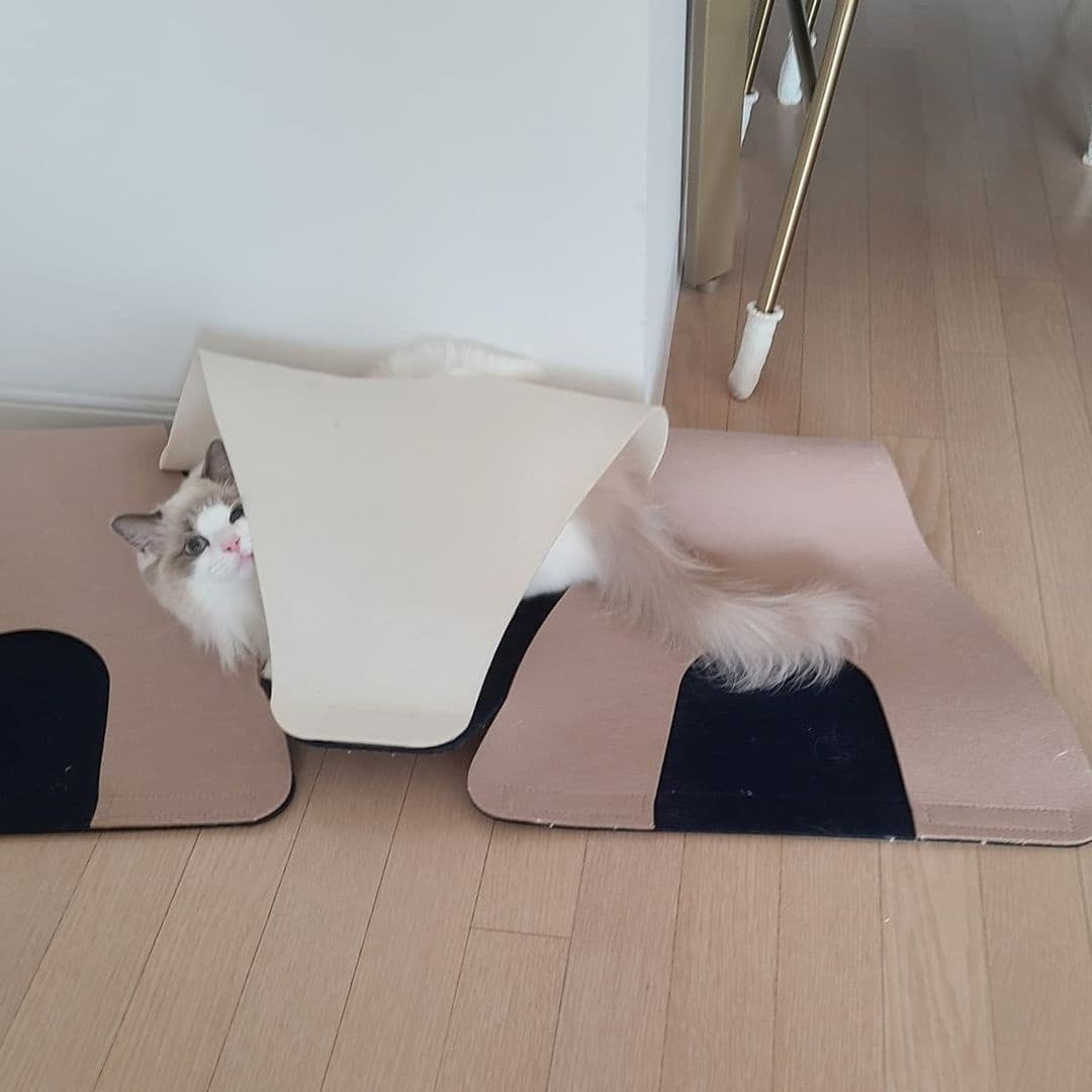 3e6aa60111627d91839d012b6f357148