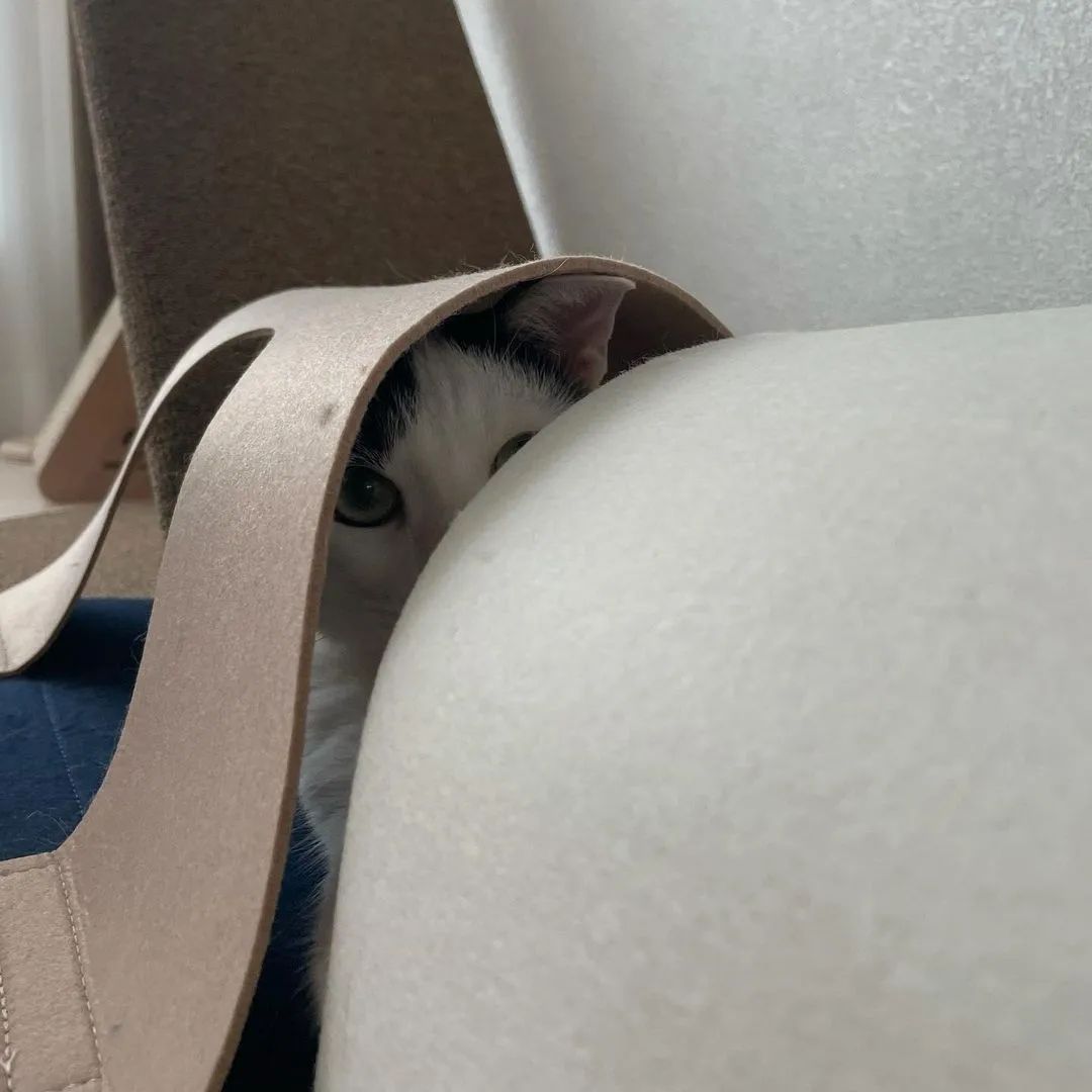 3e9a1520c0ed712d2d11f07a0106cf9b