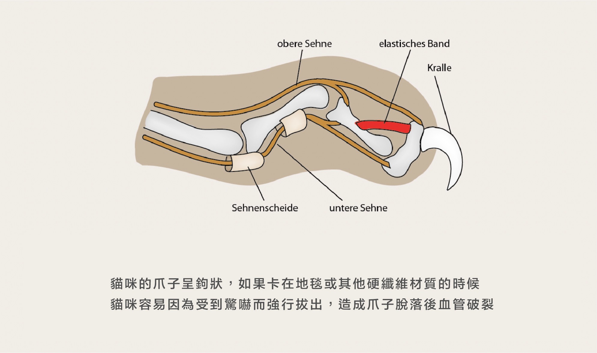 3f4c3f16f1dacc6aa5cf9b7c51b44074