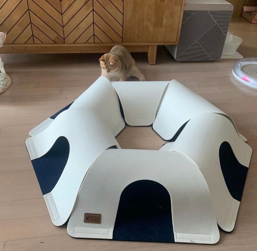 40a921082852bc7a7f09471106aa89a4