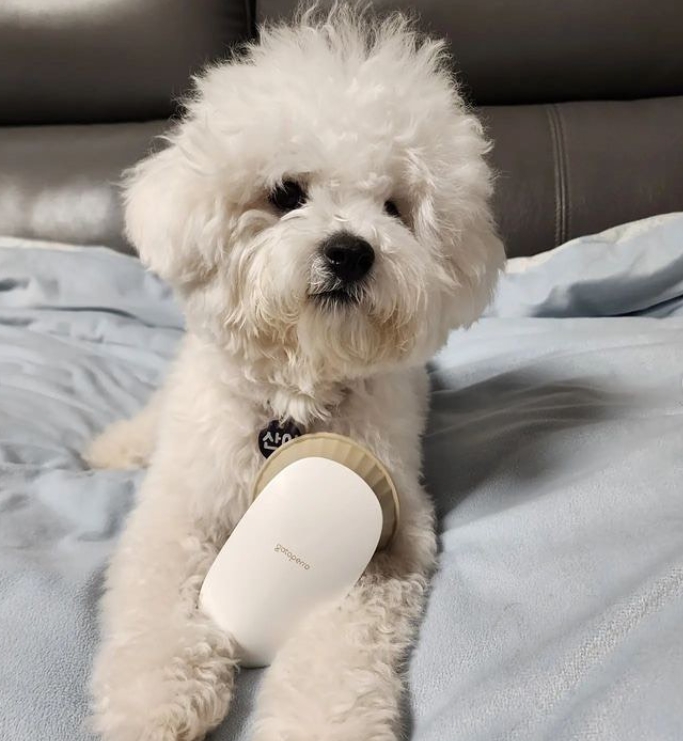 421419b48ddbd277c8cb9d69f14ce3a3