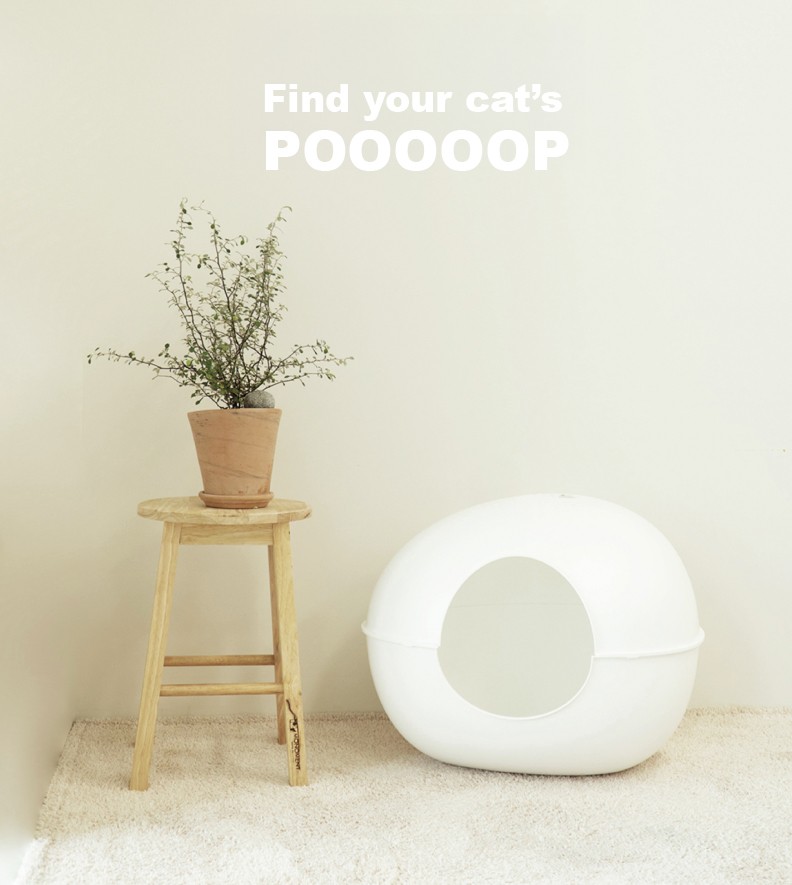 4620898364eb06d22cf29e93101bf8c9