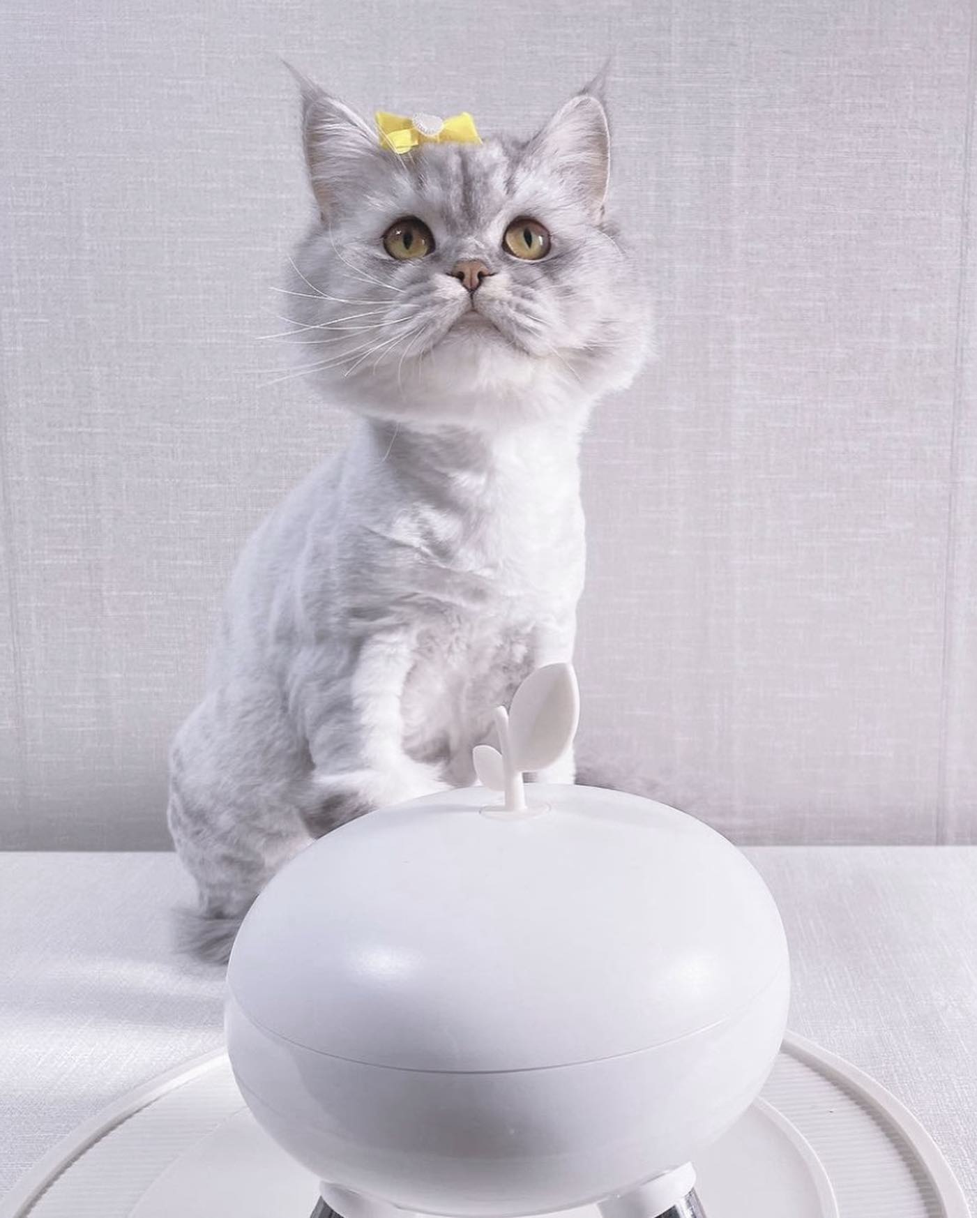 47e6d3668093a1c9212a89daa9598730