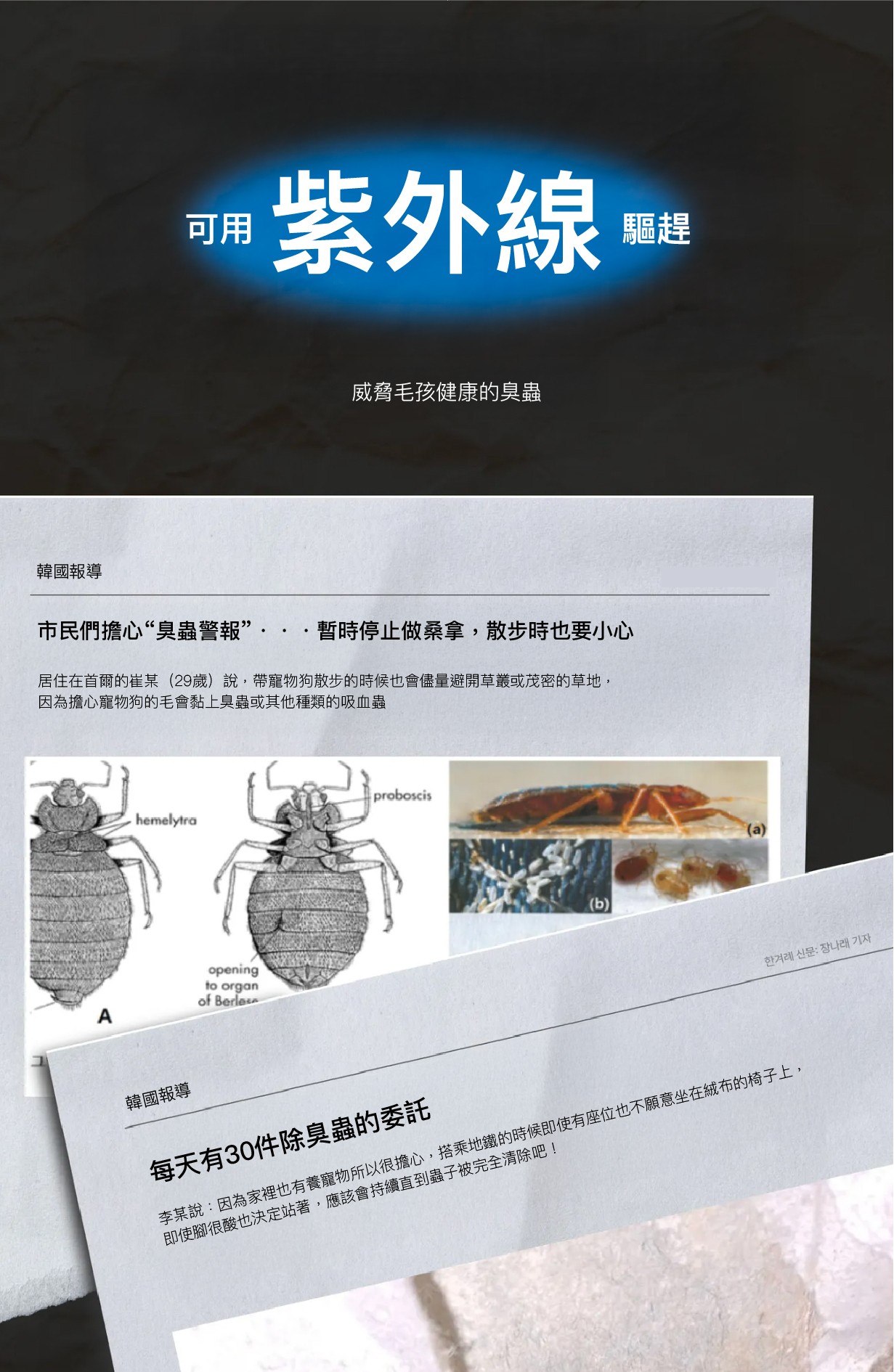 48c2e6b5cdd131f6a45e4183abf3f59a