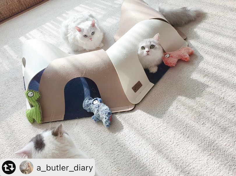 4b3a635f447645e6b55b1a90c0ffec60