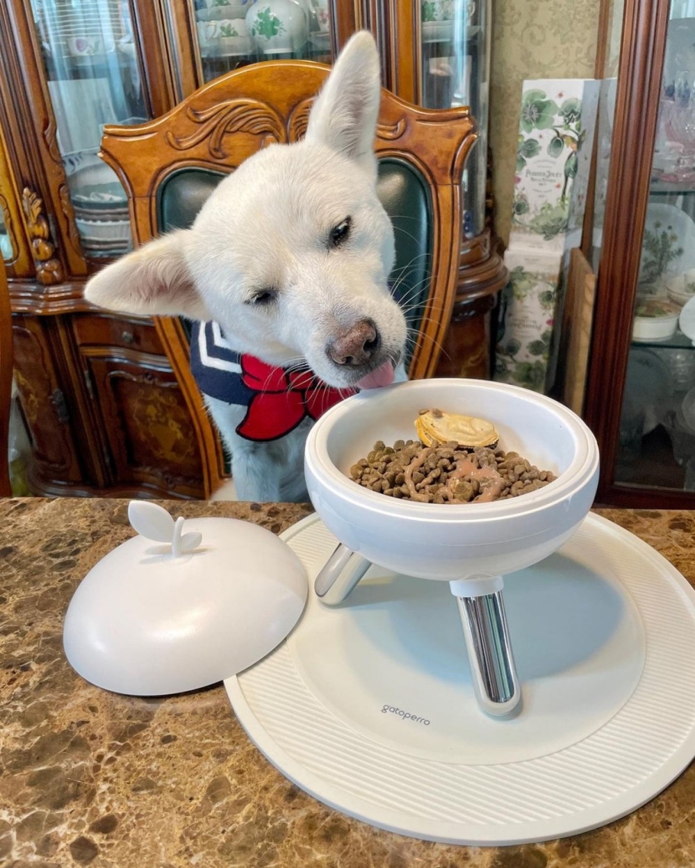 4eee3a4add8203aacb65ad0964a4cc84