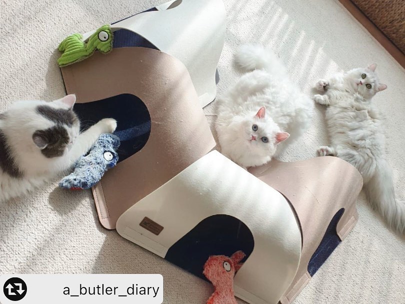 5218ded43e2173e53d71c3838e388b1a