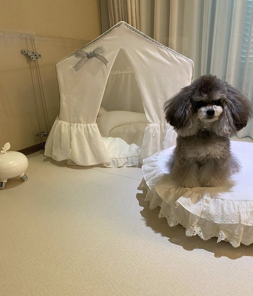 54081469b79acc540f99aad405e7d16a