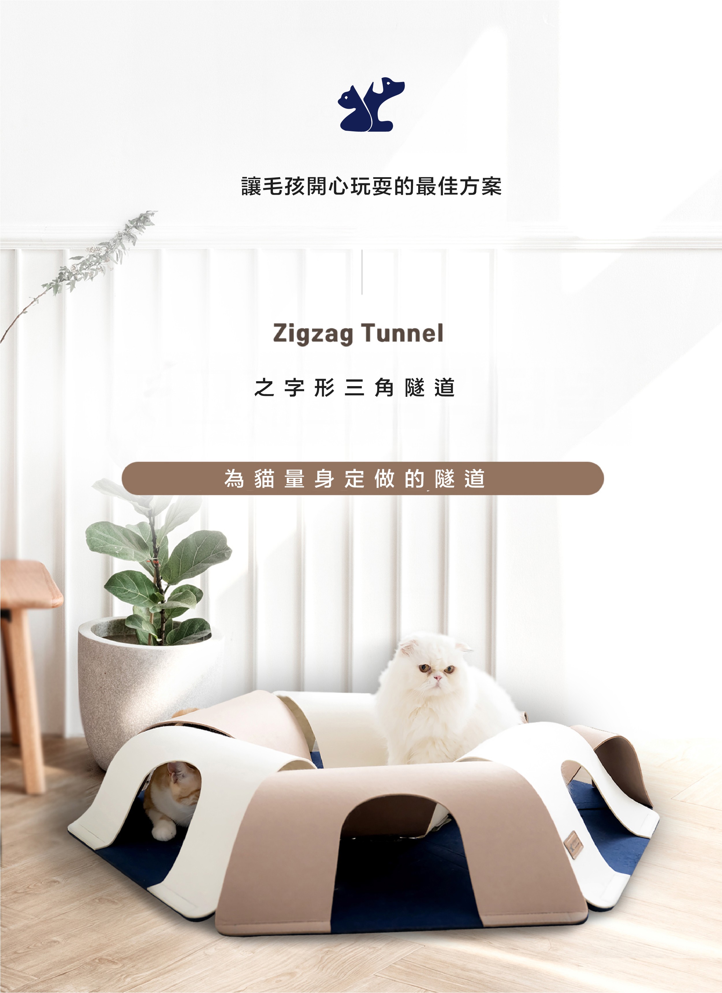 5aa8ae0faefe446d05849428145de265