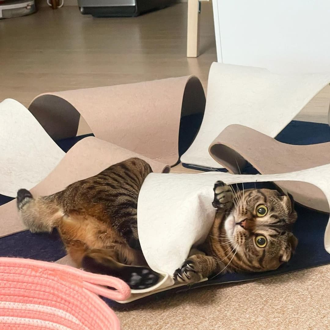 642513cc399ac2ef56e5cdbc948f5807