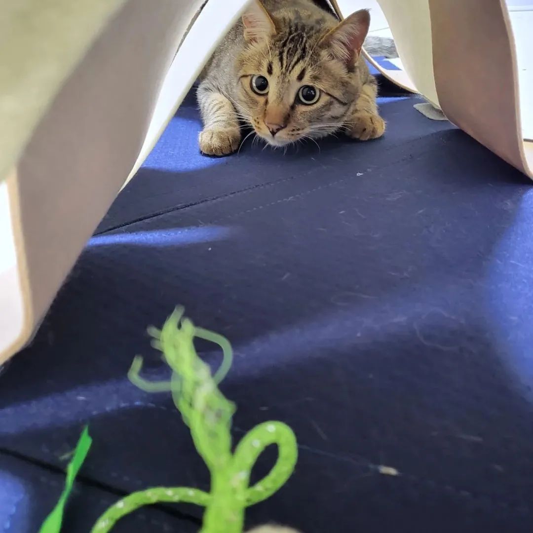 649fc6b6881e1cc4de7246001a458720