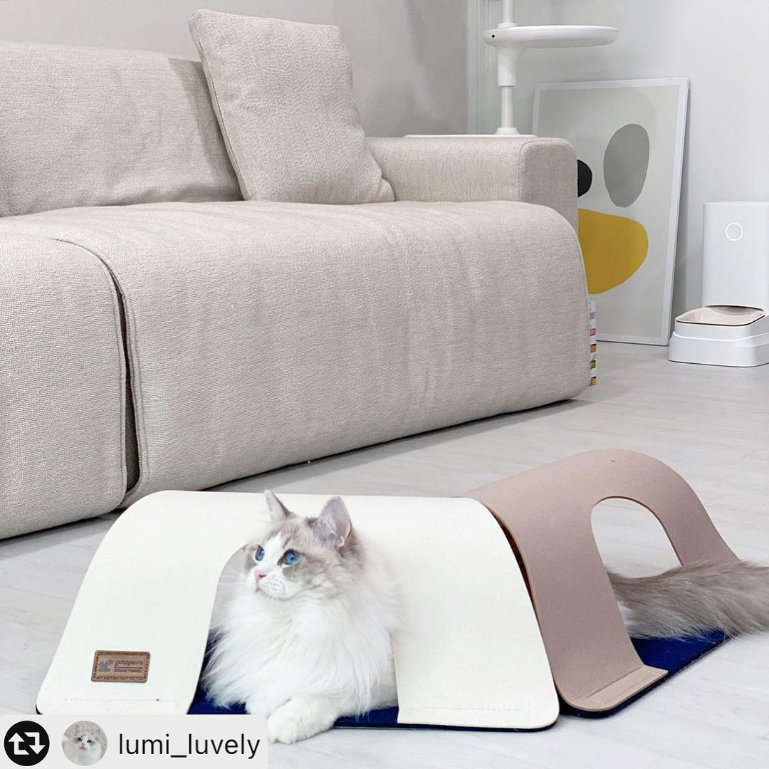 6c80d6e23ffd29c6b911e9aef429b75e