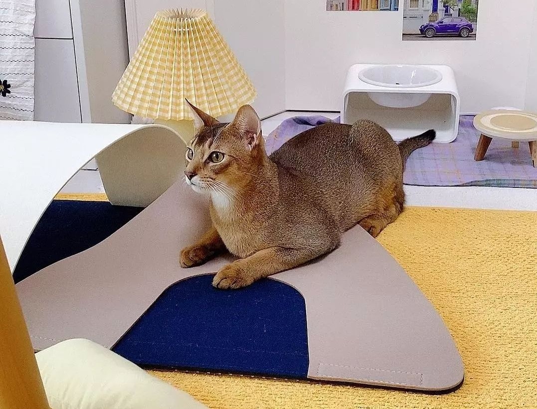 6cf9c584b3dd3fc9359e2b65f9579f5c