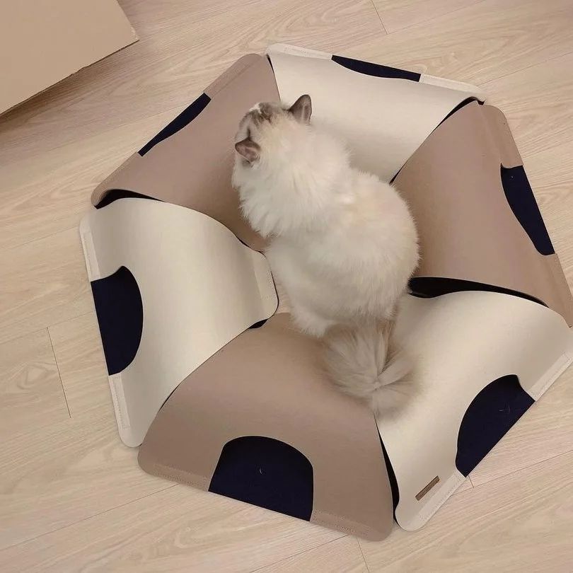 6db4ce16088db2e8a4584c6c60b2fa1c