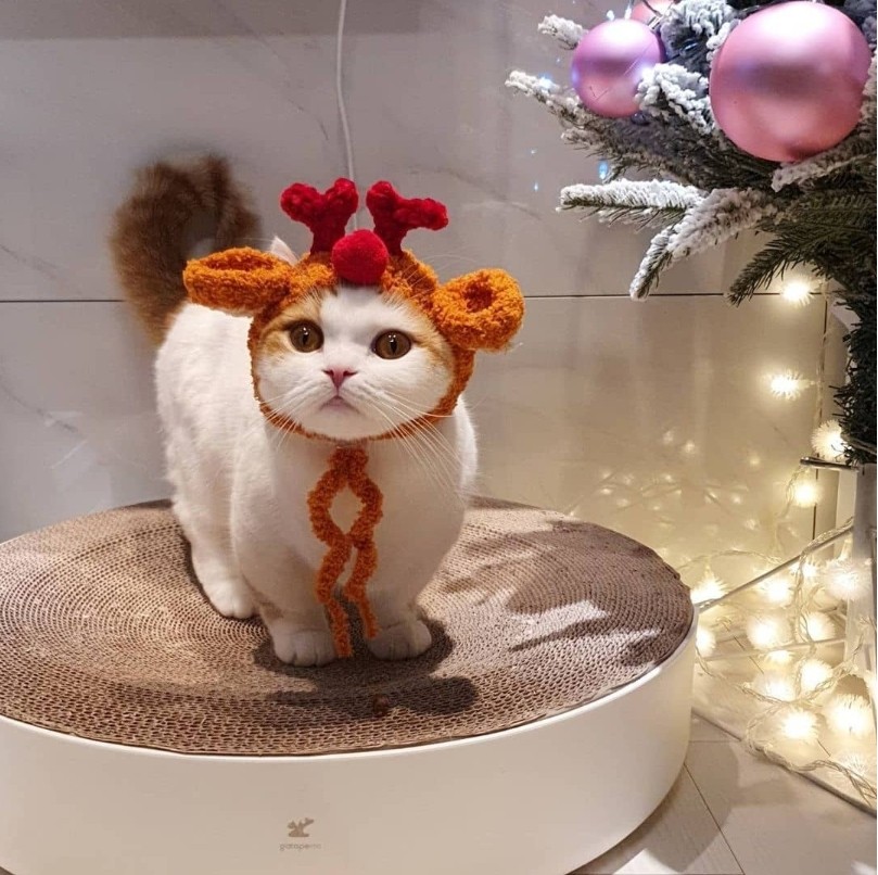 7991df0b33802d0cfb61bf5edbad9663