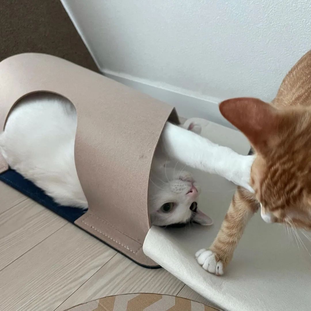 7ab1b6bef67ba82d5e3fd2396f9a693e